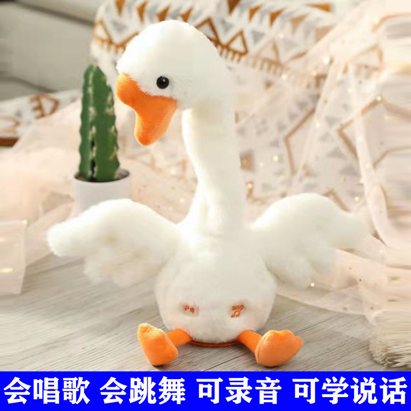 0aef6e21-c8b2-4e9c-899a-c5f6ad0c2be9.jpe