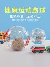 跑步造景金丝熊透明球用品水晶包仓鼠跑轮滚轮运动外带具跑球玩具