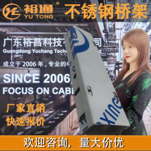 不锈钢喷涂桥架 广东厂家 梯级式电缆桥架 不锈钢梯级桥架
