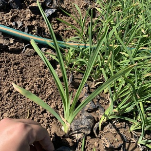 ��������ݶ����޸����ܹ��̾G����ľ���ݻ������l���������