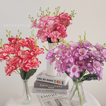 ����С��ˮ�ɸ߷���ˮ�ɻ�����c�Ҿӿ͏d�b����������zӰ����