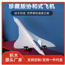 �羳�����ָ�10318Э�ͺŷɻ�����ͻ�ƴװ��ľ���������������