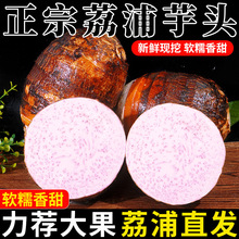 �������^���r�r�ҷ�Ŵ������V���خa�����󮔼��߲����������l