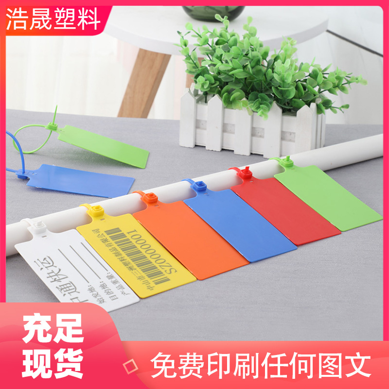 货柜运输一次性施封锁物流快递塑料封条园林标记大号标牌扎带铅封