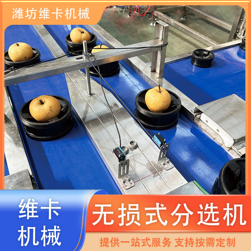 水蜜桃重量分选机 西瓜选果机 独立 柔性果盘不伤果 智能分选