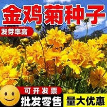 uջNļ_ͥԺ⾰^ͺͺN