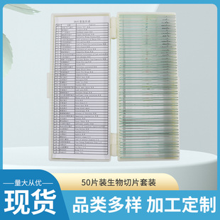 �@΢�R��Ƭ50Ƭ�b������Ƭ���bֲ�：����ͯ�̌W��򞲣���d��Ƭ