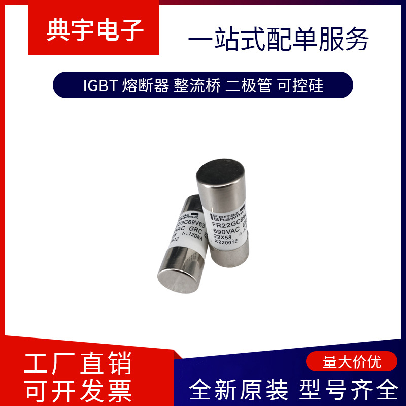 法国熔断器MEV100C8 MEV100C10 MEV100C12 MEV100C15