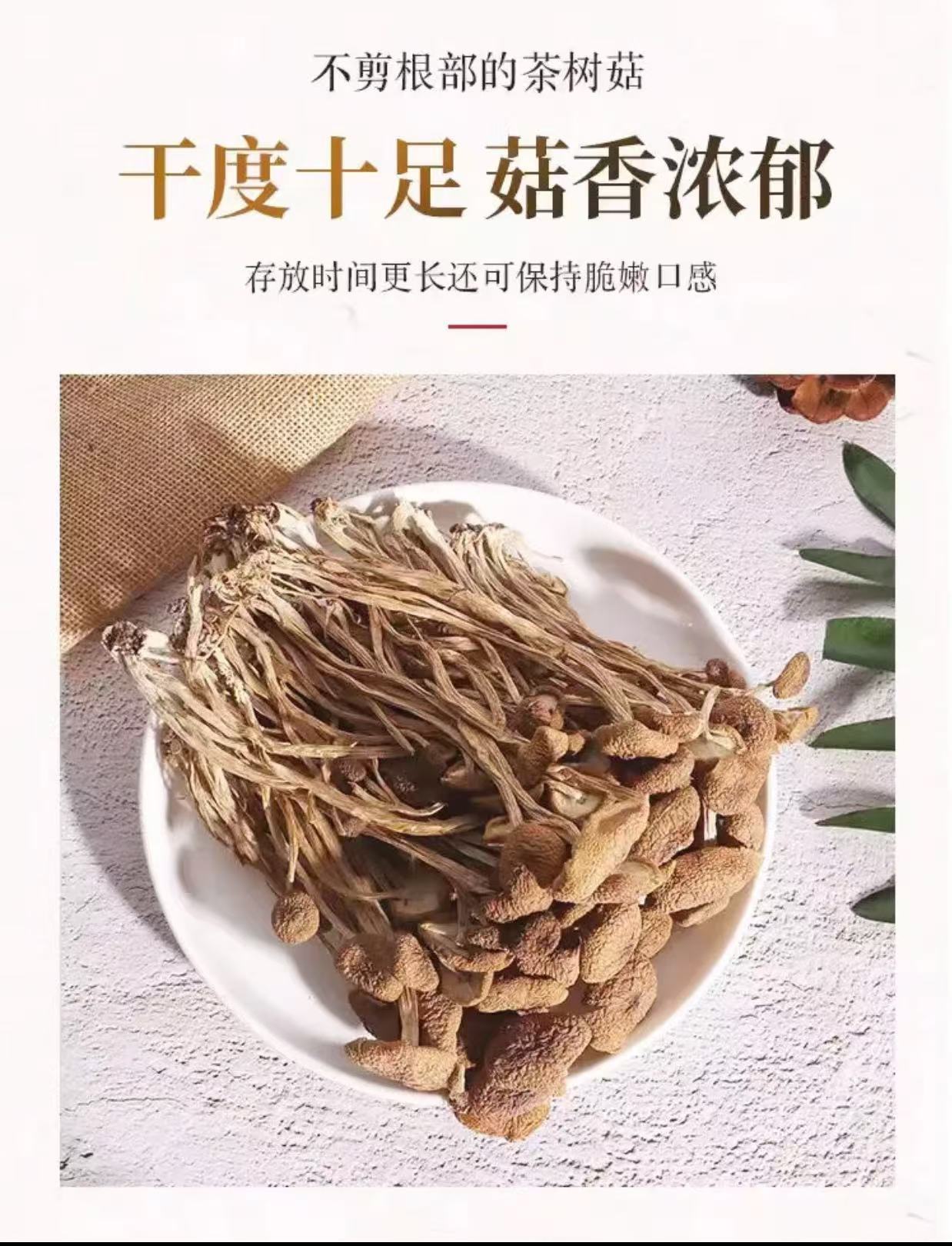 Dried Tea Tree Mushroom Cha Shu Gu Agrocybe cylindracea Sun-Dried Culinary Mushrooms for Soups and Stir-Fries 100g specifications