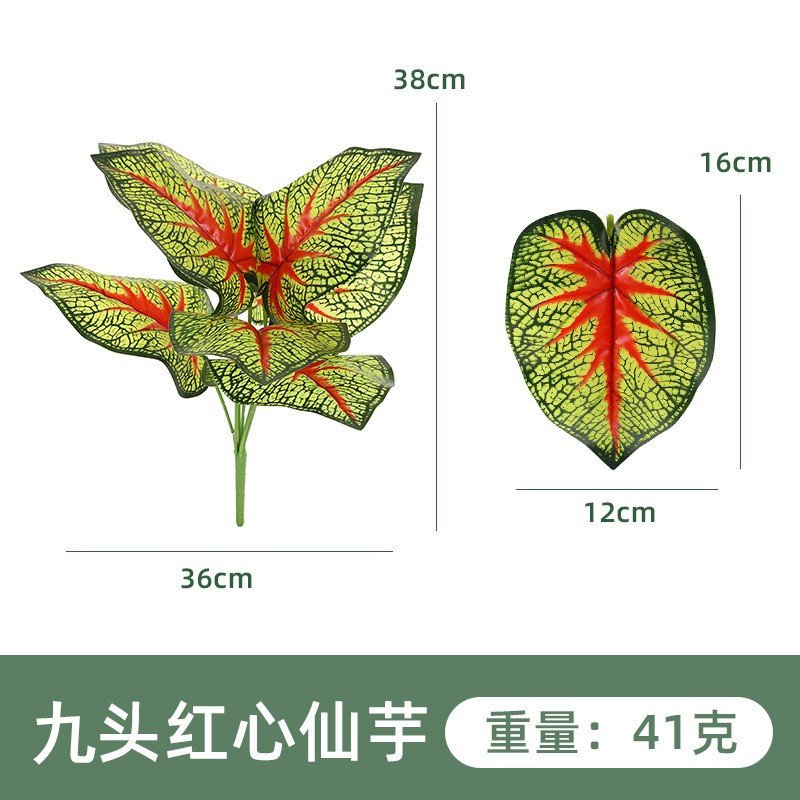 YH1267-300-9 아홉 레드 하트 타로 1 #