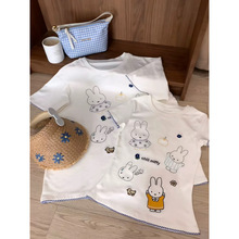 nϵײɫ߅ɐ׷Ӵ̽tŮļ