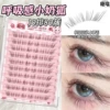 10 rows breathing slanted flying fox (small baby fox), no glue