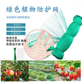 防鸟网园林网罩稻谷蔬菜大棚果树养殖网防鸟防虫网抗晒绿植苗木