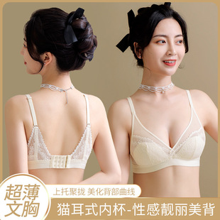 �ļ�����Ů�����Ը��ٽz��͹�c�����@С���־۔n�{�����ո�������