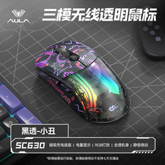 Wolf Spider SC630PRO 透明ワイヤレス磁気充電マウス 有線Bluetooth 3モード オフィスゲームeスポーツ越境