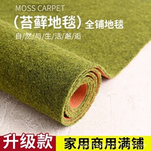 苔藓地毯假草坪毯绿色户外娱乐幼儿园铺垫游乐场装饰绿化阳台地垫