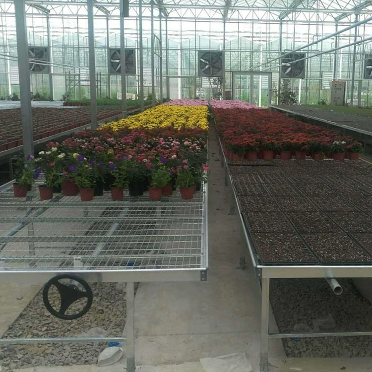 В наличии Мобильная рассадная клумба для выращивания рассады Мобильная рассадная клумба для цветов теплица рассадная клумба