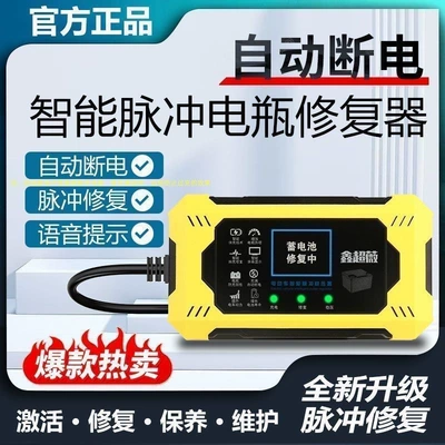 Electric Vehicle Intelligent Pulse Voltage Stabilizer Repairer One-Click Repair Activation Battery Fully Automatic Power Outage Protection Universal