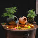 Ecological tank ancient method fish culture open ceramic tank running water ornaments circulation filter accessories courtyard garden landscaping diy