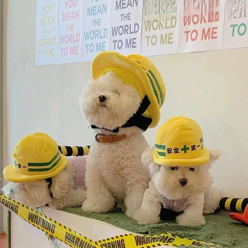 Домашние животные Инженерная команда Каска Собаки Кошки Хэллоуин Домашние животные Аксессуары Домашние животные Кики Лабрадор Фотографирование