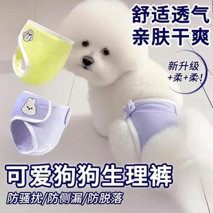 Pet Dog Physiological Pants Teddy Menstrual Pads Anti-Harassment Puppy Safety Diapers Female Dog Diapers