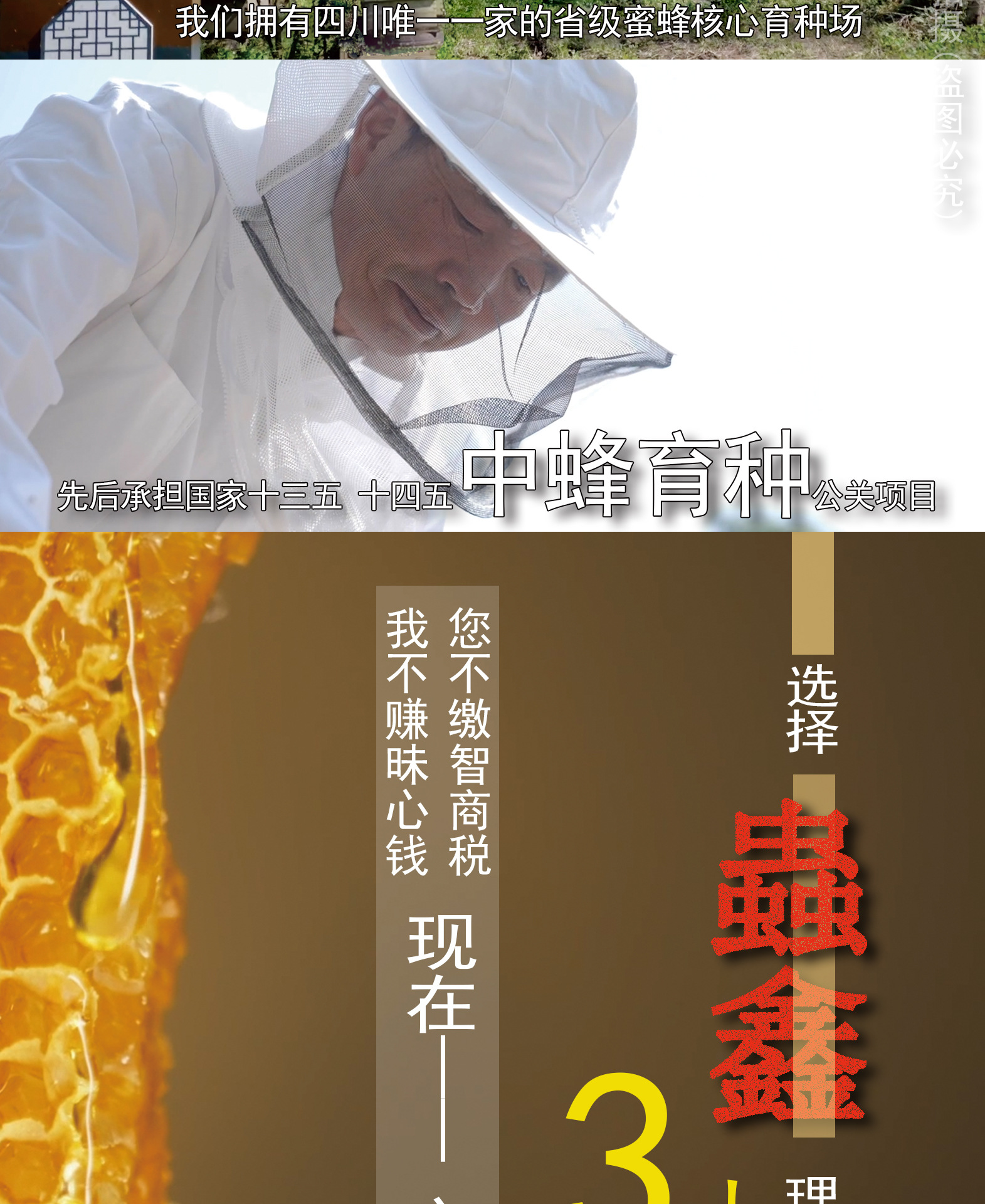 500g土蜂蜜寶貝詳情1_06