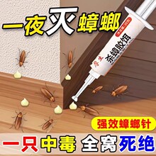 杀蟑螂药强效家用无毒一窝端大小通杀厚生牌吡虫啉杀蟑胶饵10克
