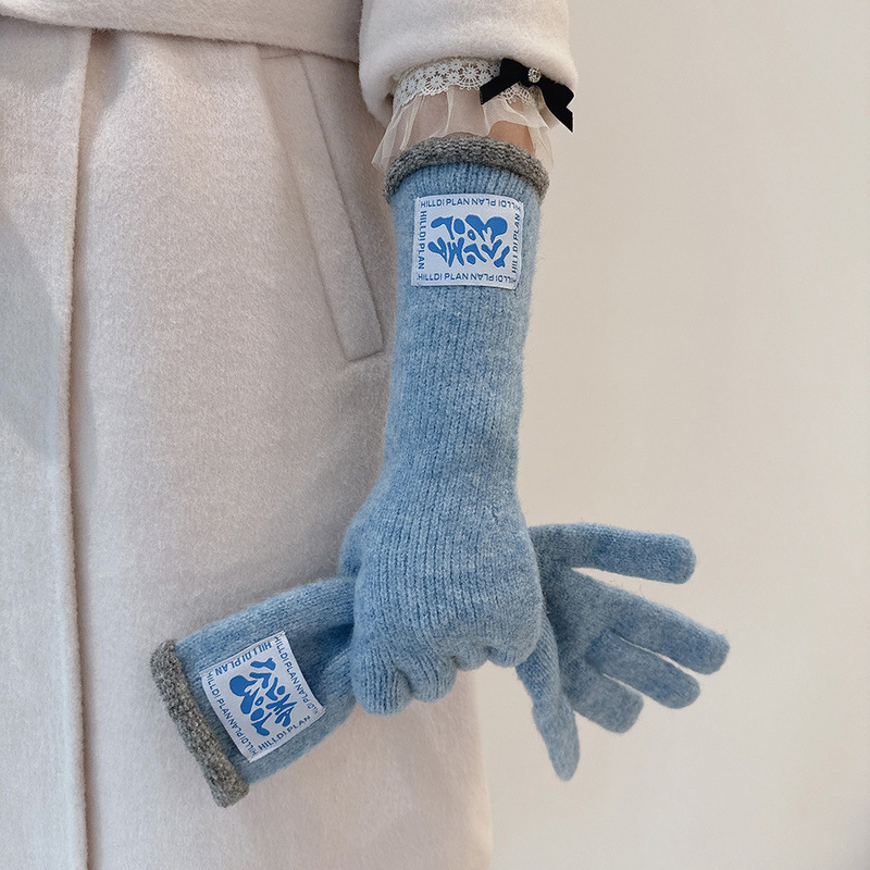 Long Casual Versatile Winter Warm Wool Gloves Women's Soft Dew Two-Finger Touch Screen Korean Style Ins Fashion