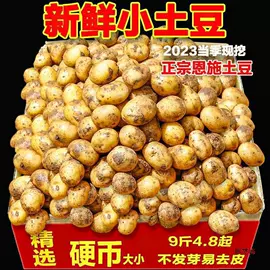 软糖;面筋制品;传统糕点