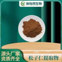 松子仁提取物10:1 松子仁粉 食品级药食同源粉末 厂家现货包邮1kg