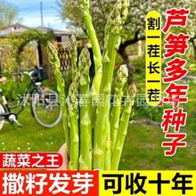 �ļ��Nֲ�������J�S�N�ӾGɫֲ���ͺ�����������ߠI�B�r���J�S�N