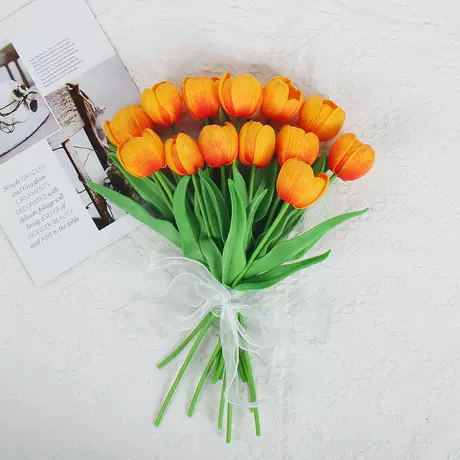Sunset red lantern tulips