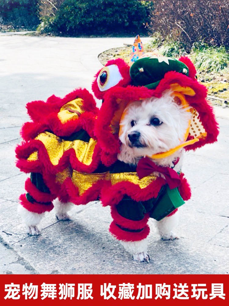 사자 춤 고양이 옷 고양이 사자 춤 애완 동물 재미 있는 개 고양이 재미 있는 옷 개 테디 코지 파두 축제 의류