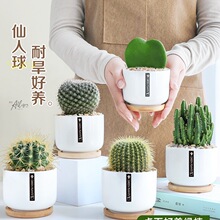 ������С���Զ���ֲ�������������҃������ļ����¿՚���B��Gֲ