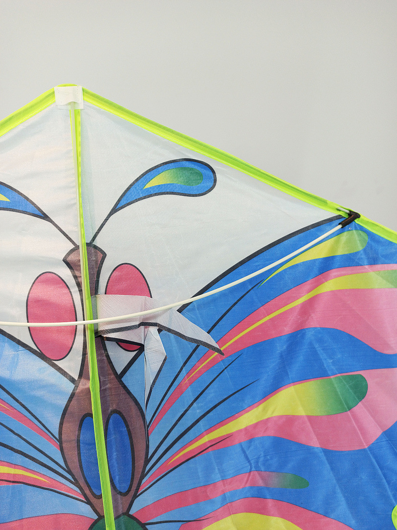 XCH长尾彩蝶- (9).jpg