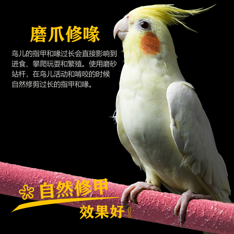 鹦鹉磨爪棒专用站杆玩具磨嘴器磨砂站架棍玄凤小鸟笼配件用品大全|undefined