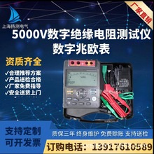 5000V数字绝缘电阻测试仪\数字兆欧表