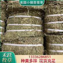 美国优级小捆苜蓿草动物园用马场用马术俱乐部用紫花苜蓿草