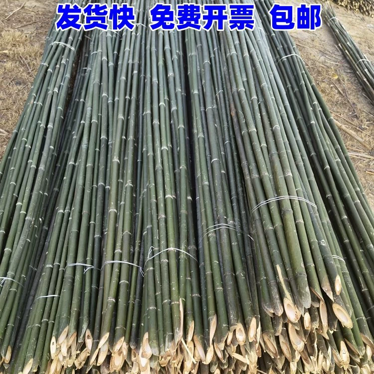 Овощной сад с бамбуковым шестом