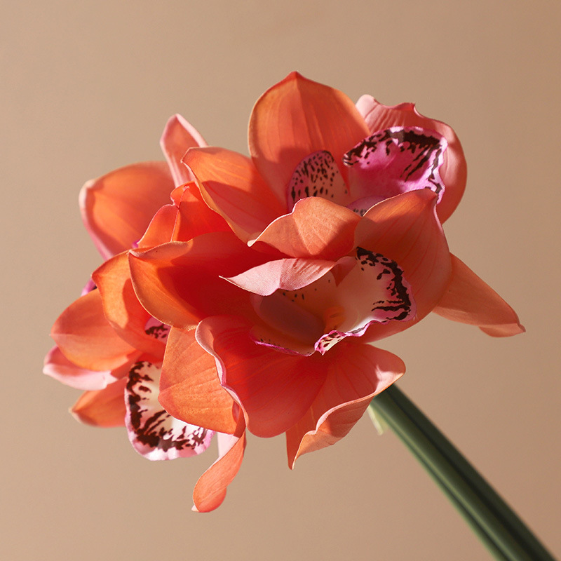 Orquídea Cymbidium falsa de alta calidad, decoración para sala de estar y bodas