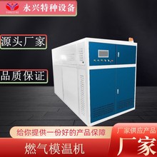 ȫԄȼȼģؙCIȼģؙC偠t20fȼģ