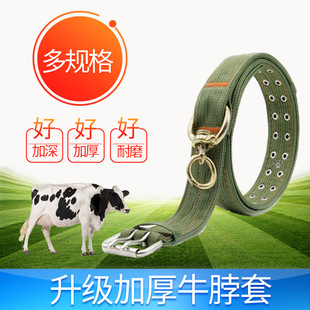 ˨ţ����ţ�üӺ񷫲�����ţ��������ţ��ţ��ţ��������ţ�Ȧ