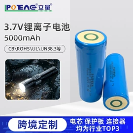 锂电池;逆变器;充电电池