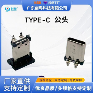 �S��ֱ�NTYPE C 24PIN ���N���^ ���_���  H=11.112.1MM ֱ��ʽ