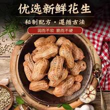 卤汁花生真空袋装五香入味下酒菜休闲零食散装带壳花生整箱批发