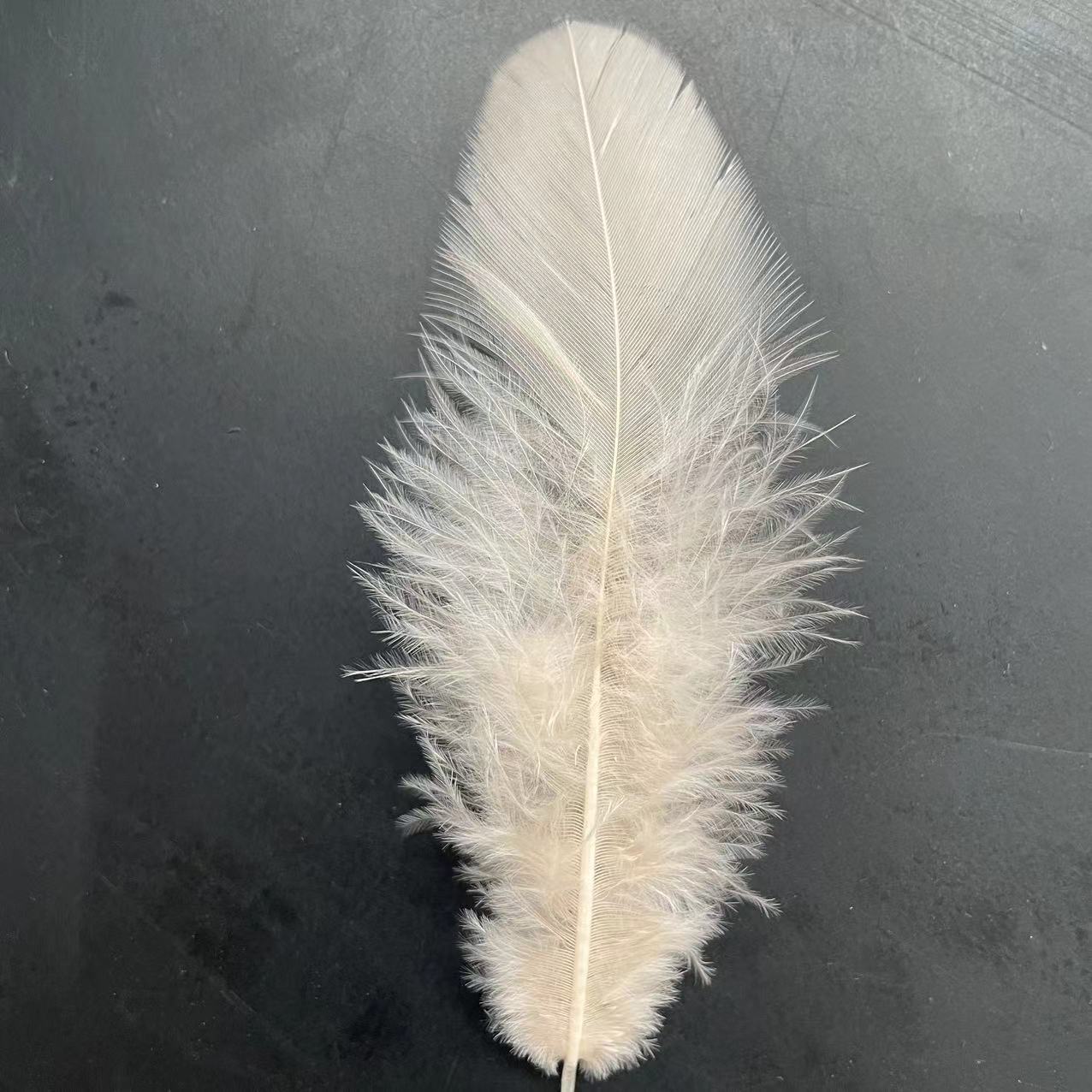 微信图片_20240419105546