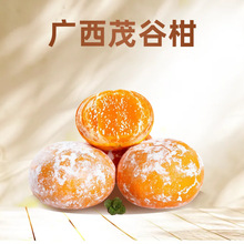 �V�����Qï�ȸ����r����ָ�10����ٽ���ʯ�Ҹ̱�֭ˮ���K�K����