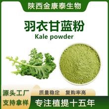 羽衣甘蓝粉 水溶性蔬菜粉 固体饮料原料  羽衣甘蓝浓缩粉1千克