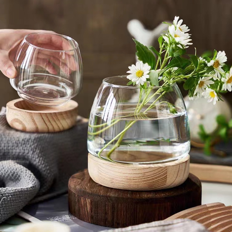 Jarrón de vidrio transparente con soporte de madera de estilo japonés, planta hidropónica de rábano verde, pecera ecológica, arreglo floral de escritorio simple, decoración