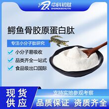 鳄鱼骨胶原蛋白肽粉原料小分子低聚肽食品级工厂 骨胶原蛋白肽粉
